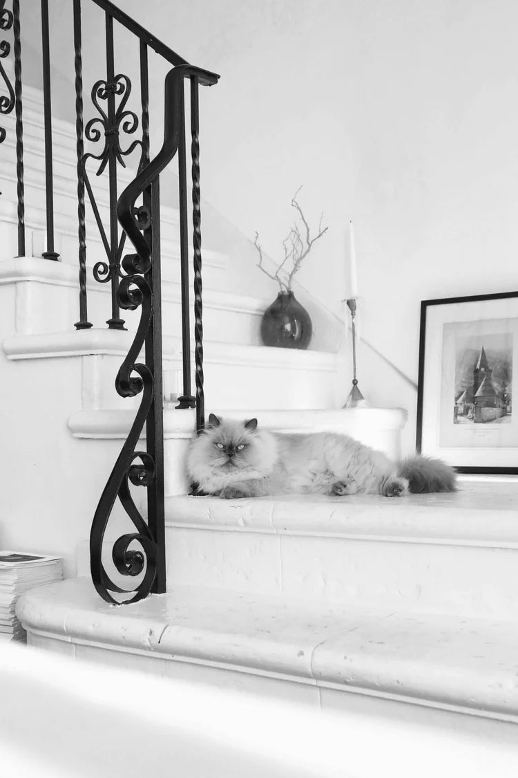 Cat lying on a staircase with decorative railings and a vase in the background